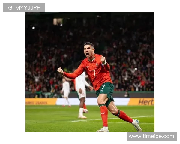 葡萄牙足球国家队球星的辉煌历程与未来展望